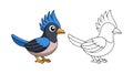Elegant Curl-crested Jay Bird Vector Royalty Free Stock Photo