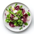 Elegant vegetarian salad with green and purple mesclun mix, herbs, thin slices of radish, on a round ceramic plate. Generative AI