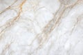 Elegant Veined Alabaster Surface with Organic Beige Patterns for Luxurious Design Backdrops Royalty Free Stock Photo