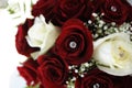 Elegant velvety red and white roses and baby`s breath wedding bouquet as bride or bridesmaids accessory