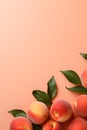 Peaches with leaves on a peach colored background, empty copy space, Vertical format 2:3 Royalty Free Stock Photo