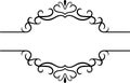 Elegant vintage calligraphic double sided frame featuring swirls and flourishes, creating a sophisticated design element