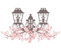 elegant vintage style street light among blooming sakura branches