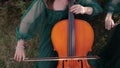 Elegant violoncellist female hands playing cello in the garden