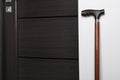 Elegant walking cane near door indoors, space for text