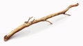 Elegant Walking Stick on White Background Vector Illustration Royalty Free Stock Photo