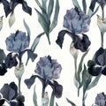 Elegant Watercolor Blue Iris Flower Pattern for Design and Decor Royalty Free Stock Photo