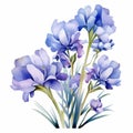 Elegant Watercolor Blue Iris Flower Vector Illustration Royalty Free Stock Photo