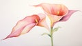Elegant Watercolor Calla Lily with a Bold Contrasting Stem AI Generated