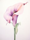 Elegant Watercolor Calla Lily with a Bold Contrasting Stem AI Generated