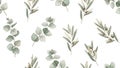 Elegant Watercolor Eucalyptus and Olive Branches Pattern on White Background for Textile Design and Botanical Themed Projects Royalty Free Stock Photo