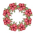Elegant watercolor hibiscus floral wreath Royalty Free Stock Photo