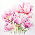 Elegant Watercolor Painting Of Pink Tulips Bouquet Royalty Free Stock Photo