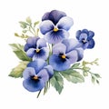 Elegant Watercolor Pansy Arrangement Clipart In Mountbatten Blue Hues Royalty Free Stock Photo