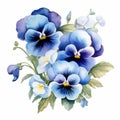 Elegant Watercolor Pansy Arrangement On White Background Royalty Free Stock Photo