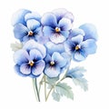 Elegant Watercolor Pansy Bouquet Clipart In Ice Blue Hues Royalty Free Stock Photo