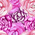 Elegant Watercolor Seamless Pattern with Beautiful Royalty Free Stock Photo
