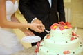 Elegant Wedding Cake Royalty Free Stock Photo
