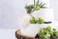 Elegant wedding cake with flowers and succulents. Royalty Free Stock Photo