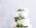 Elegant wedding cake with flowers and succulents. Royalty Free Stock Photo