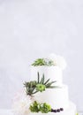 Elegant wedding cake with flowers and succulents. Royalty Free Stock Photo