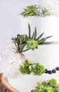 Elegant wedding cake with flowers and succulents. Royalty Free Stock Photo