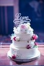 Elegant wedding cake on three floors with edible decoration in the shape of roses, ribbons and heart in nature environment,