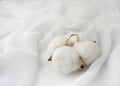 Elegant wedding concept. Golden ring with cotton flower pillow on white silk background.