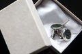 Elegant wedding cufflinks for a classic suit in the box Royalty Free Stock Photo