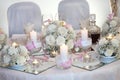 Elegant wedding dinner Royalty Free Stock Photo