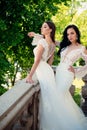 Elegant wedding salon is waiting for bride. women is preparing for wedding. It suits. Wonderful bridal gown. Beautiful