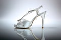 Elegant wedding shoe