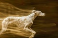 Elegant Whippet in Swift Motion Against a Warm Toned, Abstract Background in High Speed Photography