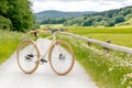 Elegant white bicycle on scenic country path Royalty Free Stock Photo
