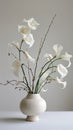 Elegant white calla lilies in a ceramic vase Royalty Free Stock Photo