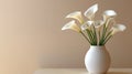 Elegant white Calla lilies in a simple vase Royalty Free Stock Photo