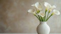 Elegant white calla lilies in a vase Royalty Free Stock Photo