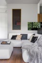 Elegant white corner sofa