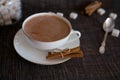 Cup of Cocoa, Cinnamon Sticks and Sugar Cubes Royalty Free Stock Photo