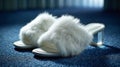 Elegant white furry slippers on a plush blue carpet. Royalty Free Stock Photo
