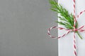 Elegant White Gift Box Tied with Red Ribbon Green Juniper Twig. Christmas New Years Presents Shopping Sale. Gray Background Royalty Free Stock Photo