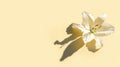 Elegant white lily flower casting a dynamic shadow on a soft yellow backdrop Royalty Free Stock Photo