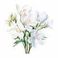 Elegant White Lily Watercolor Background With Realistic Detail Royalty Free Stock Photo