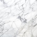 A white marble with black veins
