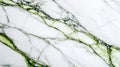 Elegant white marble with green and black veining pattern Royalty Free Stock Photo