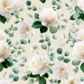 Elegant white roses and eucalyptus leaves on cream background Royalty Free Stock Photo