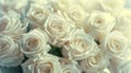 Elegant White Roses in Vase Royalty Free Stock Photo