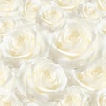 Elegant white seamless pattern luxurious rose