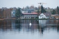 Elegant White Swan on the Lake. Building Area on the Background Royalty Free Stock Photo