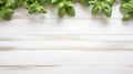 Elegant White Table With Fresh Basil Leaves On Rustic White Wood Background